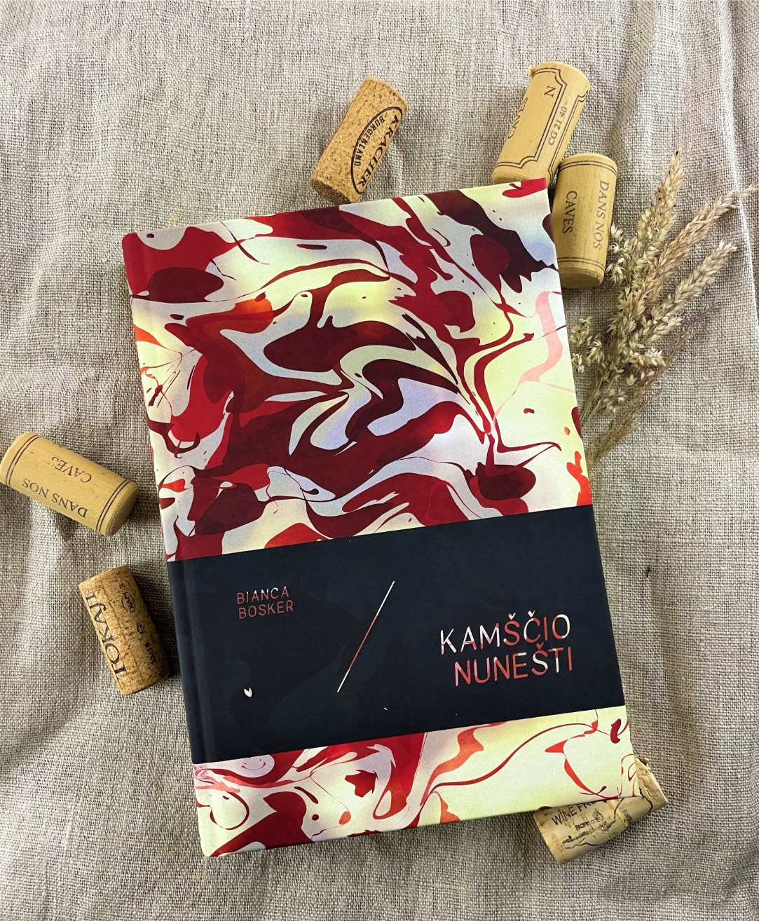 Knyga Kamščio nunešti