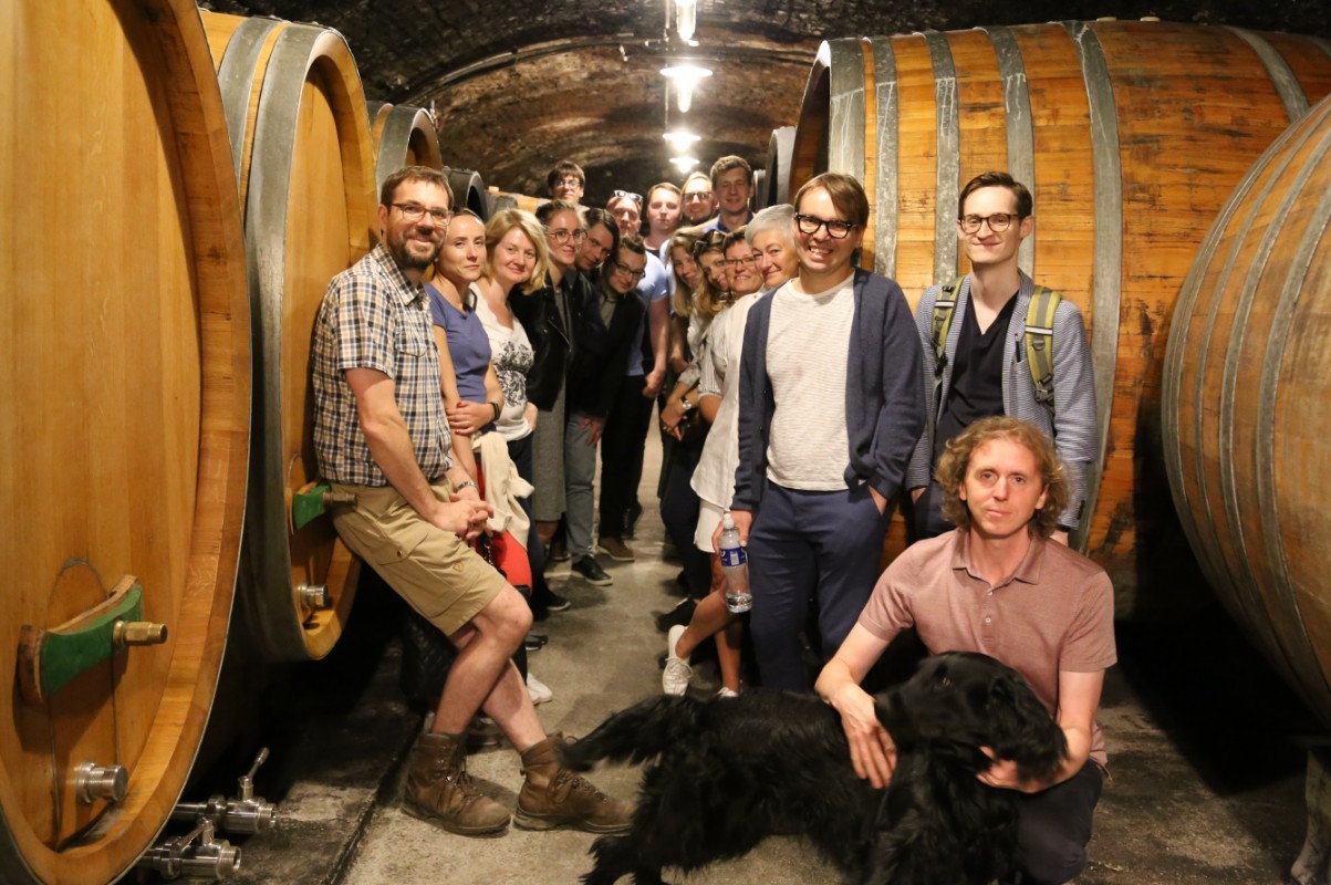 Vynuogynai Austrijoje