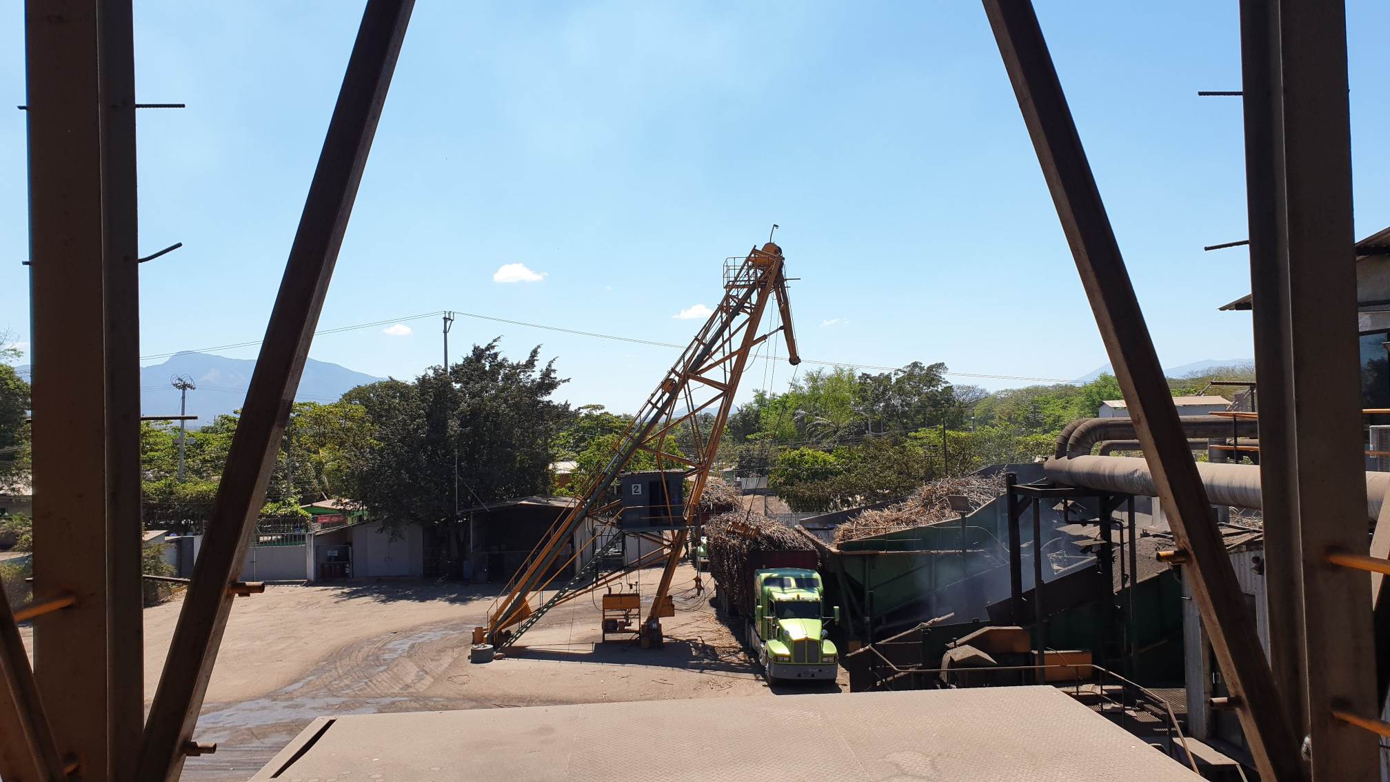 Cukra&scaron;vendrių derliaus priėmimas