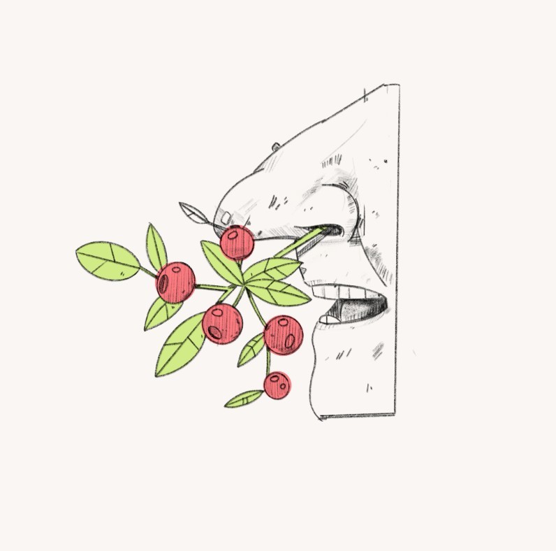 Šaltanosių iliustracija vyno etiketėje