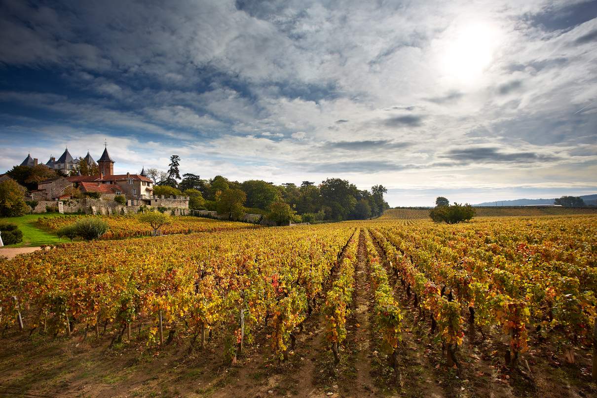 Burgundijos vynuogynai ir pilis