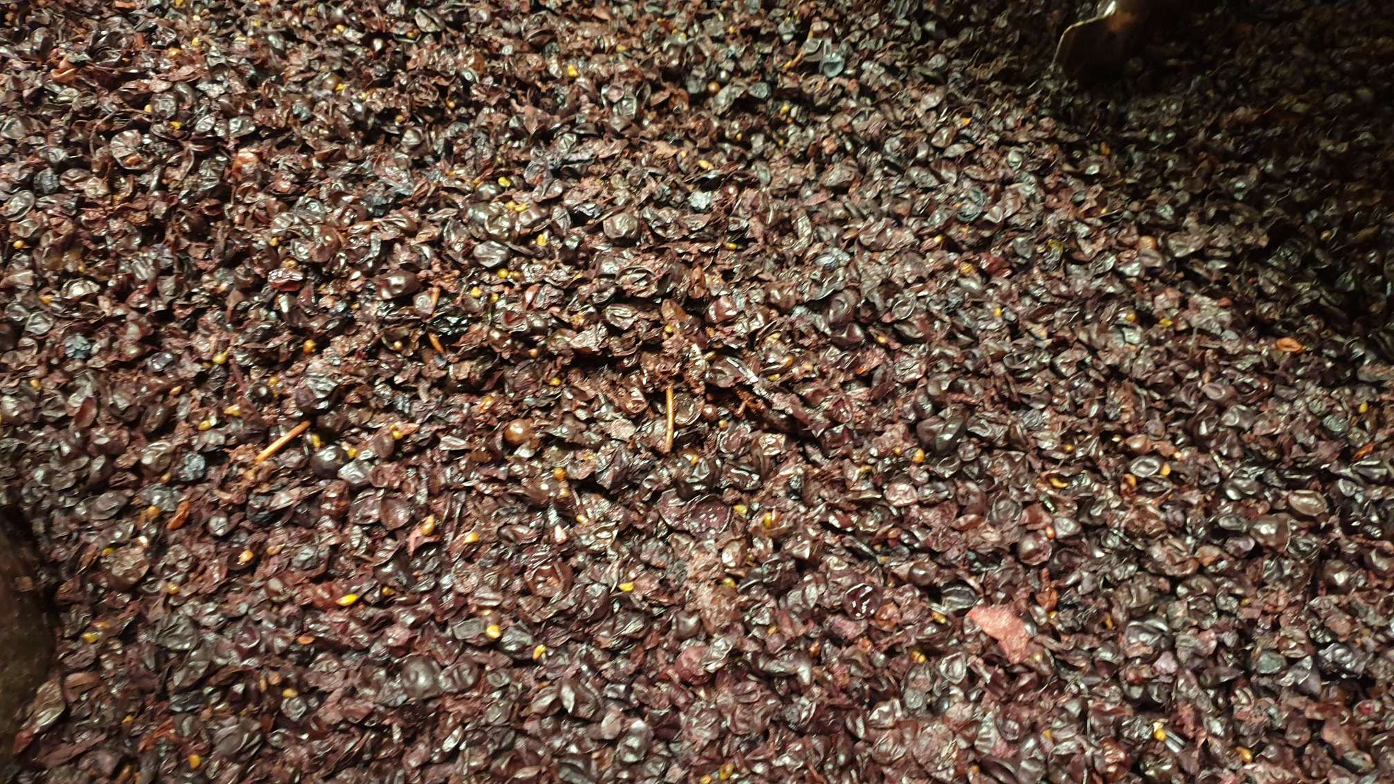 De&scaron;rų tro&scaron;kinimas vynuogių i&scaron;spaudose