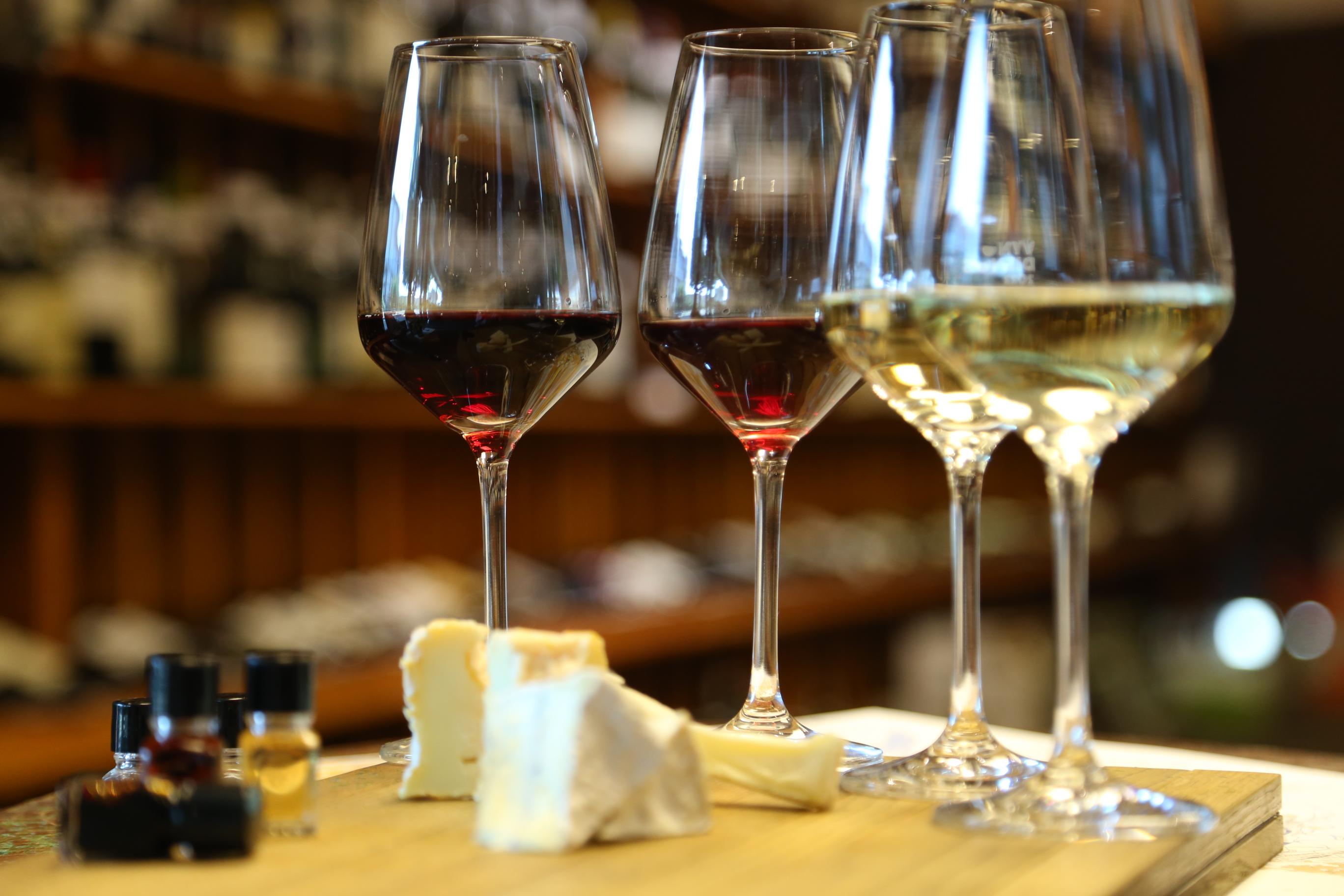 Vyno ir sūrio degustacija