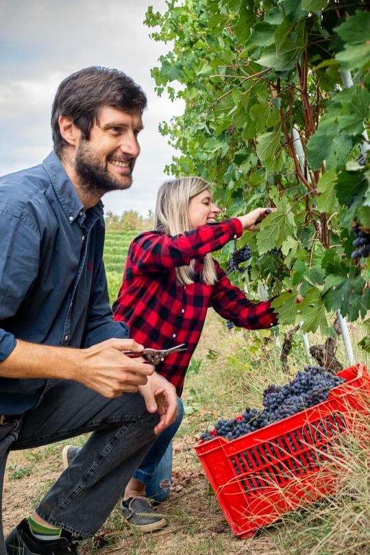 Mauro Molino vyndariai