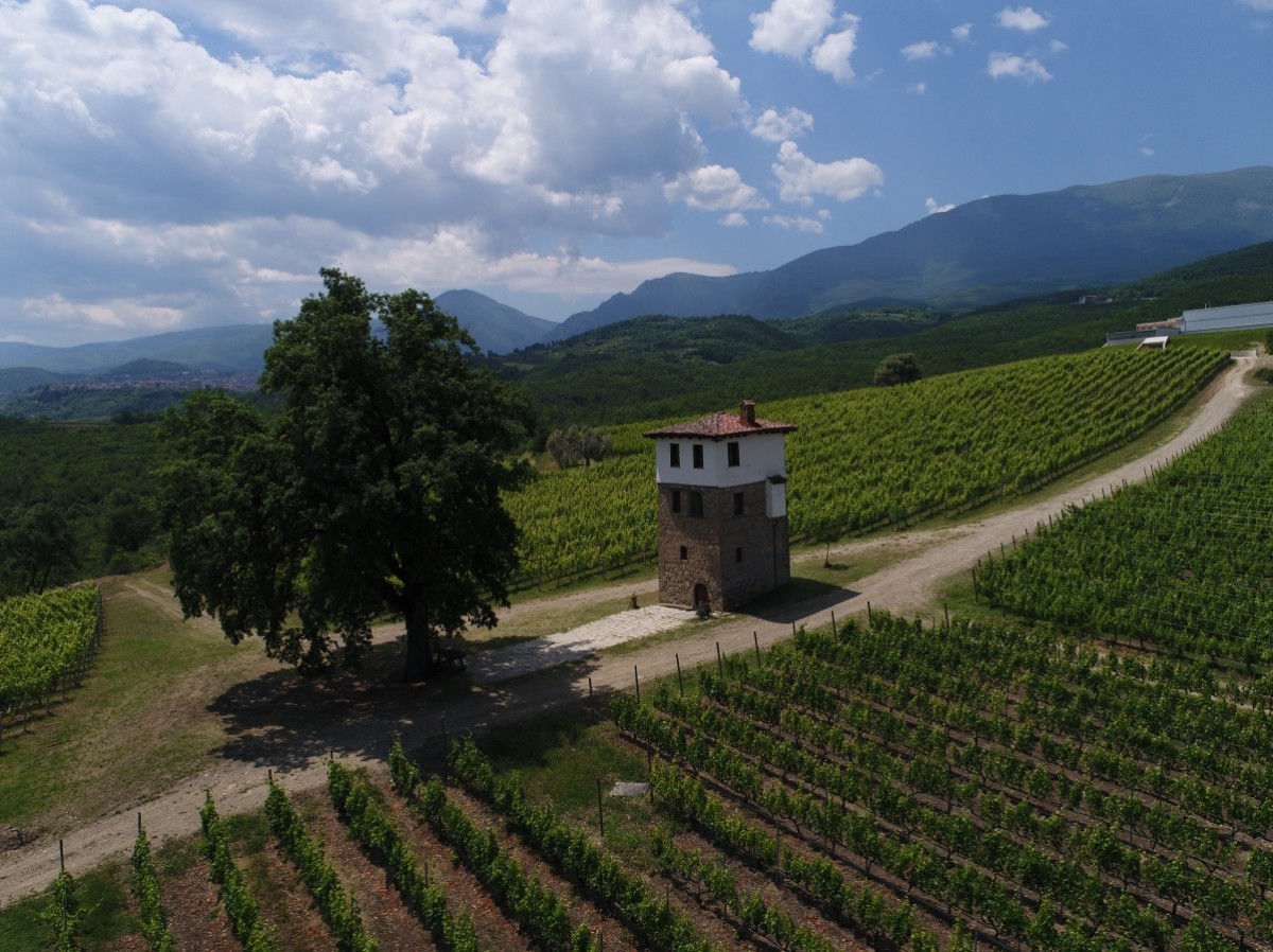 Kir-Yianni vynuogynai